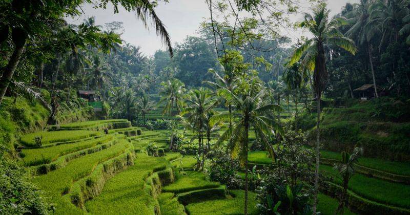 Unsplash/Niklas Weiss